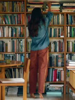 Women Imogene + Willie Pants & Shorts*baker striped trouser in terra