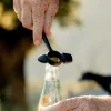 Women Imogene + Willie Accessories|Accessories*cast iron hammer bottle opener