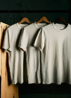 Women Imogene + Willie T-Shirts|Tees & Tanks*classic knit midweight crew