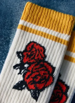 Imogene + Willie Socks*the 