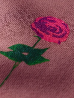 Women Imogene + Willie Knits & Sweaters*the 